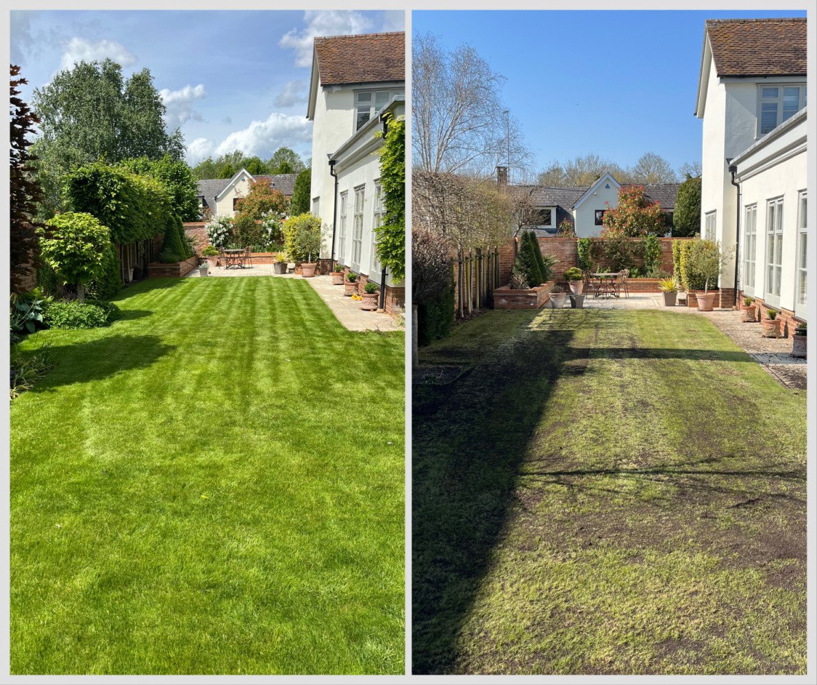 Lawn Renovations